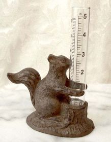 Squirrel Rain Gauge