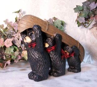 Northwood bears canoe trip