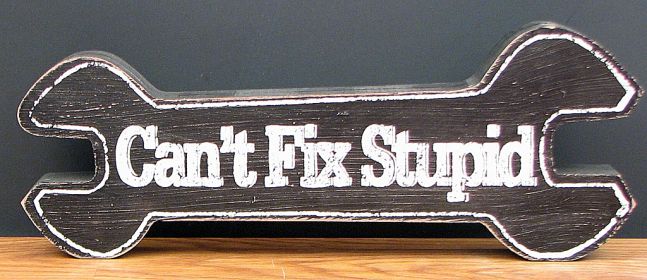 "Can't Fix Stupid" Tabletop Wood Sign